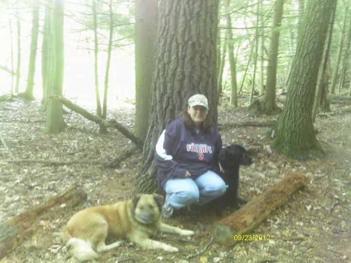 Bear Peek Obituary Clock Timeless Pets